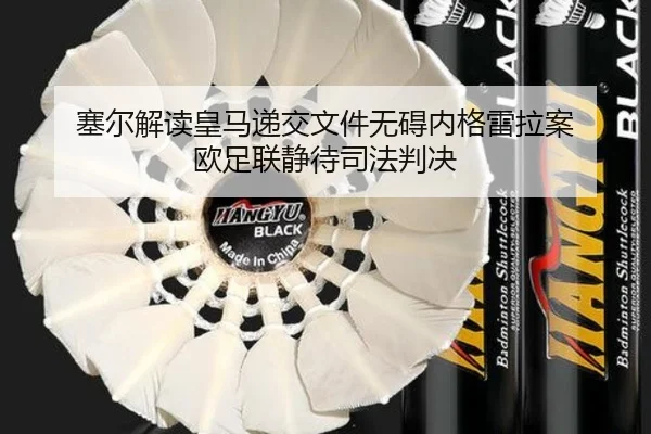 塞尔解读皇马递交文件无碍内格雷拉案 欧足联静待司法判决